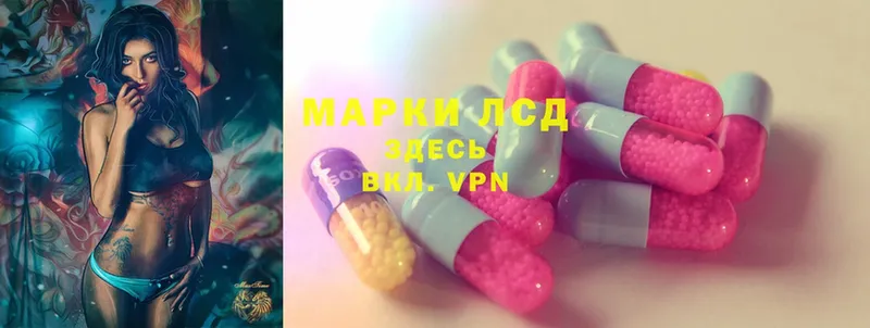 LSD-25 экстази кислота  мега как войти  Светлогорск  где продают наркотики 